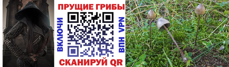 Псилоцибиновые грибы мухоморы  сколько стоит  Коркино 